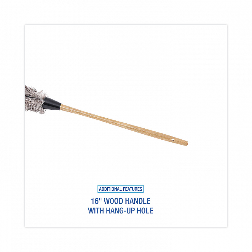 Professional Ostrich Feather Duster, 16" Wood Handle, 12" Gray Bristle (31FD)