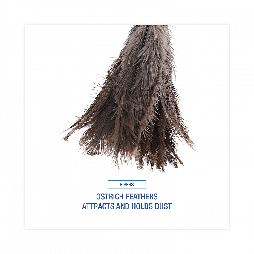 Professional Ostrich Feather Duster, 16" Wood Handle, 12" Gray Bristle (31FD)