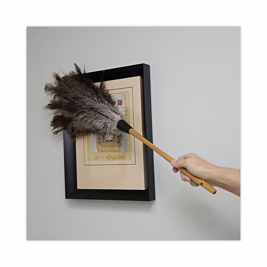 Professional Ostrich Feather Duster, 16" Wood Handle, 12" Gray Bristle (31FD)
