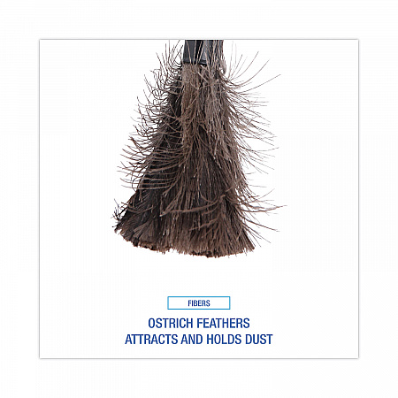 Ostrich Feather Duster, 9