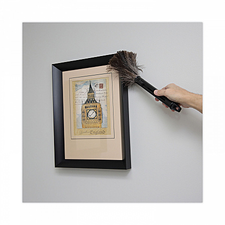 Ostrich Feather Duster, 9