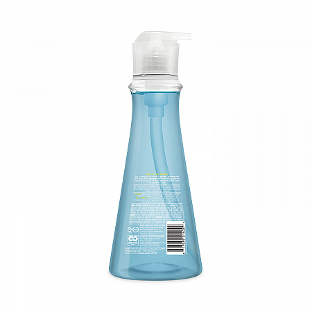 Dish Soap, Sea Minerals Scent, 18 oz Pump Bottle (00734)