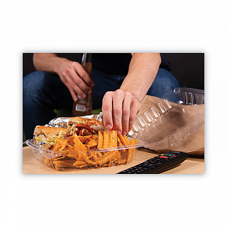ClearSeal Hinged-Lid Plastic Containers, 9.3 x 8.8 x 3, Clear, Plastic, 100/Bag, 2 Bags/Carton (C95PST1)