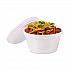 Foam Container, Extra Squat, 8 oz, White, 1,000/Carton (8SJ20)