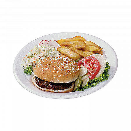Quiet Classic Laminated Foam Dinnerware Plate, 9