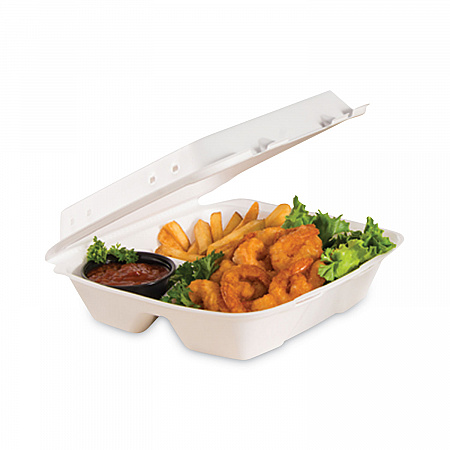 Foam Hinged Lid Container, Vented Lid, 9 x 9.4 x 3, White, 100/Pack, 2 Packs/Carton (90HTPF1VR)