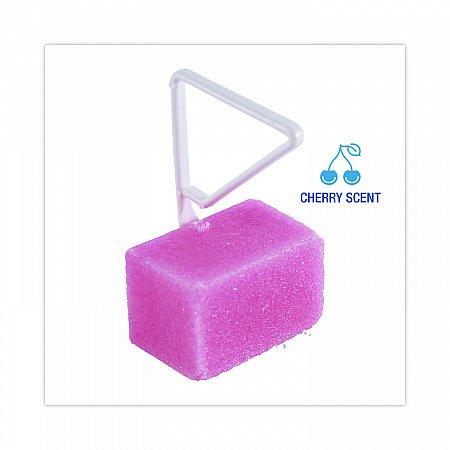 Para Toilet Bowl Deodorizer Block, Cherry Scent, Pink, 4 oz, 12/Box (B04BX)