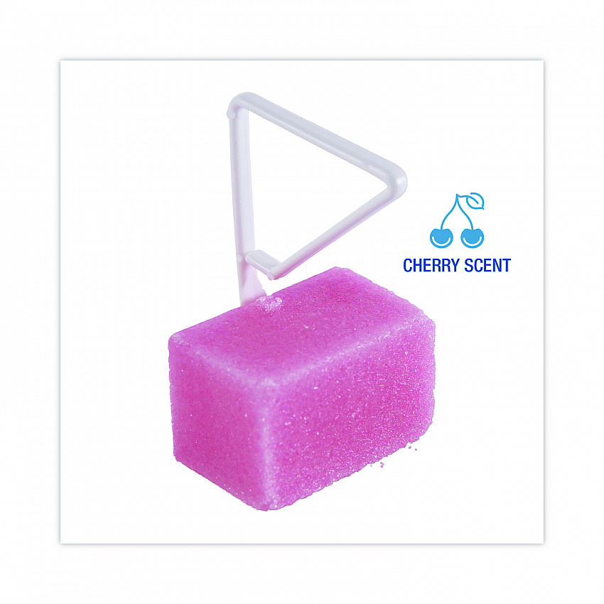 Para Toilet Bowl Deodorizer Block, Cherry Scent, Pink, 4 oz, 12/Box (B04BX)