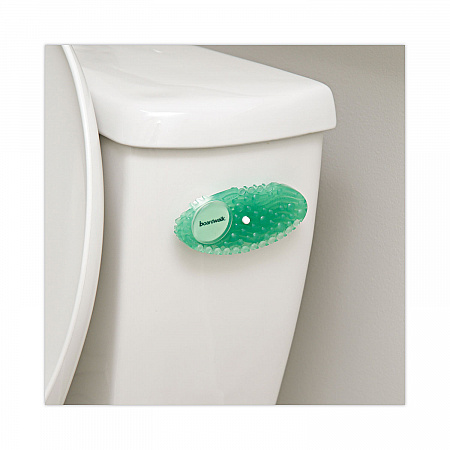 Curve Solid Air Freshener, Cucumber Melon, Green, 10/Box (CURVECME)