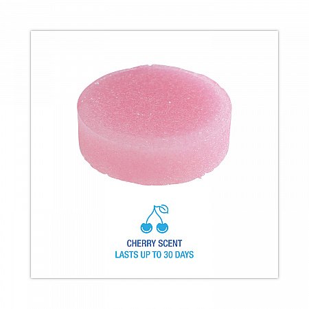 Para Urinal Deodorizer Block, Cherry Scent, Red, 4 oz, 12/Box (U04BX)