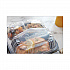 EarthChoice Vented Dual Color Microwavable Hinged Lid Container, 3 Compartment Base/Lid, 33 oz, Black/Clear, Plastic, 150/CT (DC858330B000)