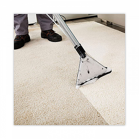 Carpet Extraction Cleaner, Lemongrass Scent, 1gal Bottle (1041398EA)