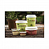 EarthChoice Compostable Soup Cup Large, 16 oz, 3.63
