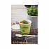 EarthChoice Compostable Soup Cup Large, 16 oz, 3.63