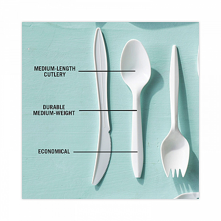 Fieldware Cutlery, Mediumweight Spoon, Plastic, White, 1,000/Carton (YFWSWCH)