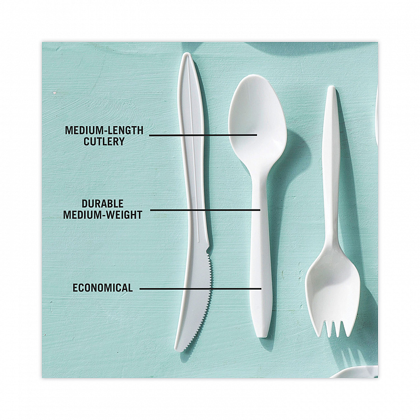 Fieldware Cutlery, Mediumweight Spoon, Plastic, White, 1,000/Carton (YFWSWCH)