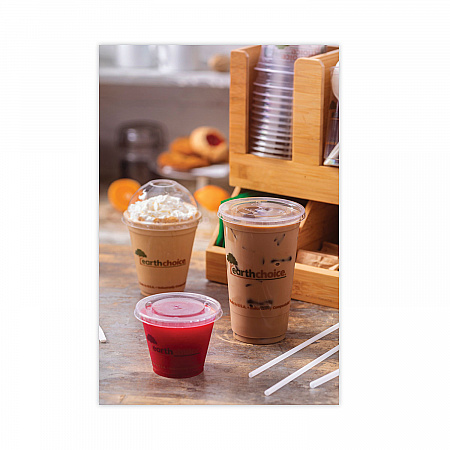 EarthChoice Compostable Cold Cup, 24 oz, Plastic, Clear/Printed, 580/Carton (YPLA24CEC)