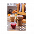 EarthChoice Compostable Cold Cup, 24 oz, Plastic, Clear/Printed, 580/Carton (YPLA24CEC)
