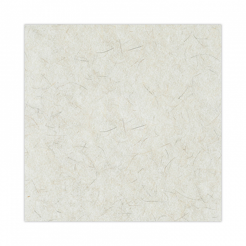 Natural Burnishing Floor Pads, 20" Diameter, White, 5/Carton (4020NAT)