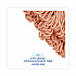Super Loop Wet Mop Head, Cotton/Synthetic Fiber, 5