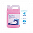 Industrial Strength Pot and Pan Hand Dishwashing Detergent, Herbal Scent, 1 gal Bottle (77128EA)