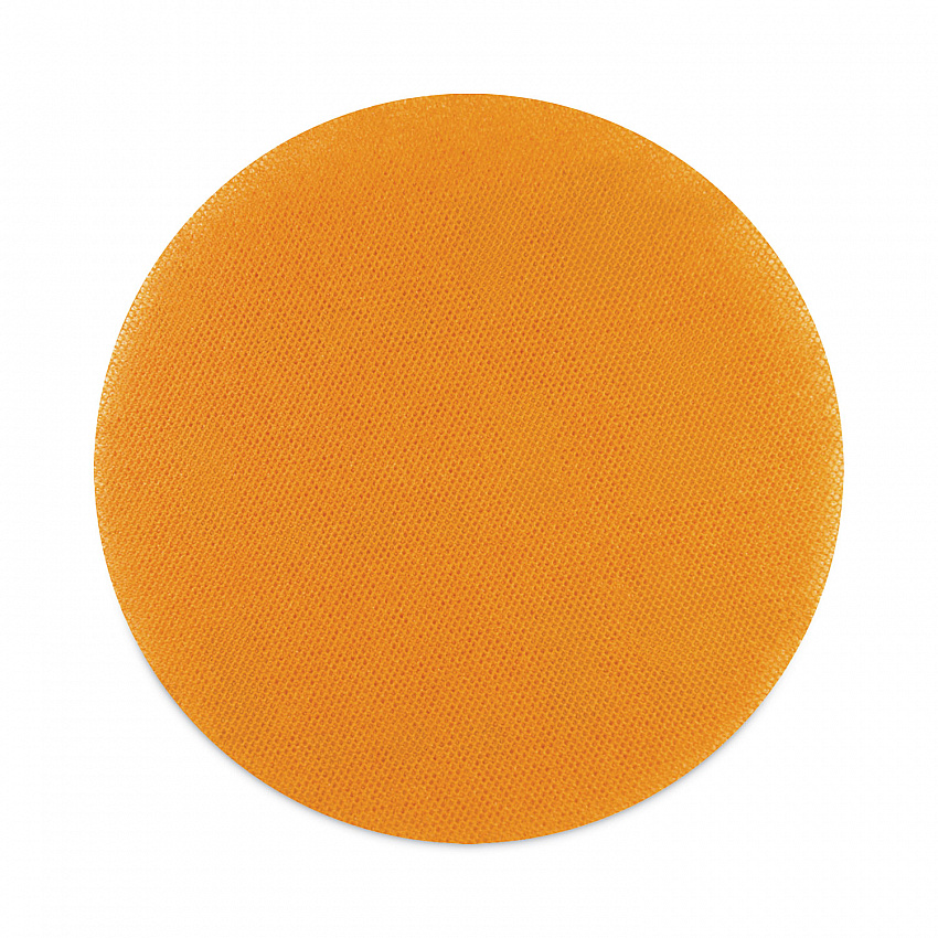 Cleaning/Abrasion Drive Plate, 20" (AS0003177)