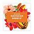 Plugin Scented Oil Refill, Hawaiian Breeze, 0.67 oz, 5/Pack (315181)