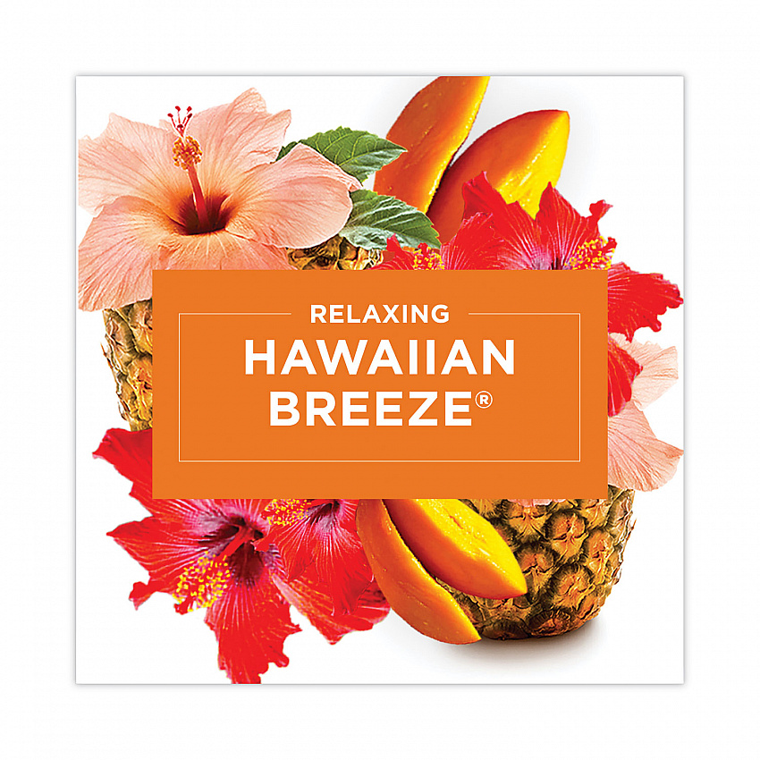 Plugin Scented Oil Refill, Hawaiian Breeze, 0.67 oz, 5/Pack (315181)