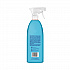 Tub and Tile Bathroom, Eucalyptus Mint Scent, 28 oz Spray Bottle (00008)
