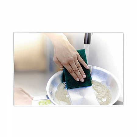 Heavy-Duty Scouring Pad, 3.8 x 6, Green, 10/Carton (22310CT)