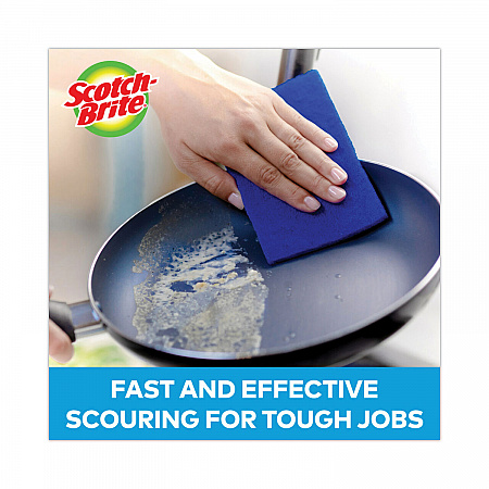 Non-Scratch Scour Pads, 3 x 6, Blue, 10/Carton (62310)