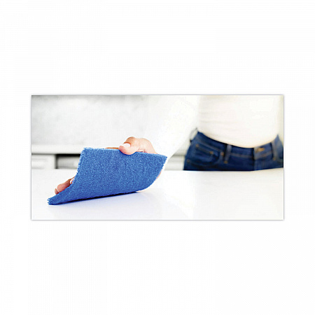 Non-Scratch Scour Pads, 3 x 6, Blue, 10/Carton (62310)