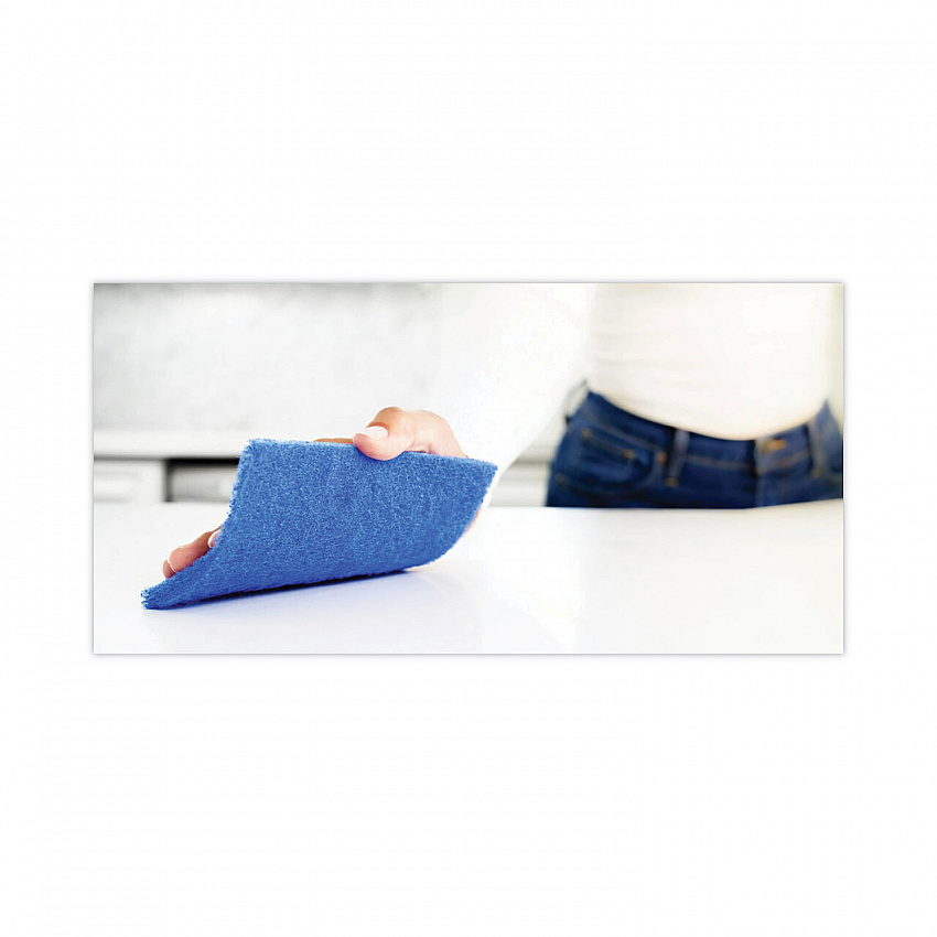 Non-Scratch Scour Pads, 3 x 6, Blue, 10/Carton (62310)