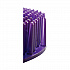 ekcoscreen Urinal Screens, Berry Scent, Purple, 12/Carton (EKS1P12)
