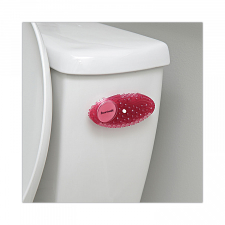 Curve Solid Air Freshener, Spiced Apple, Red, 10/Box (CURVESAP)