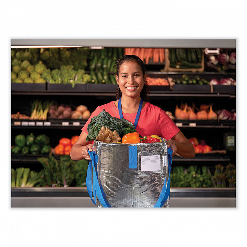 Fresh Eco Freeze Tote, (2) Blue Nylon Shoulder Straps, (2) Blue Nylon Strap Handles, 13.5" x 9" x 13", Silver/Blue, 4/Carton (UDMAG)