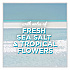 Automatic Air Freshener, Aqua Waves, 6.2 oz Spray Can, 4/Carton (325078)
