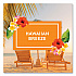 Plugin Scented Oil, Hawaiian Breeze, 0.67 oz, 2 Warmers and 6 Refills/Pack (319962)