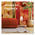 Plugin Scented Oil, Hawaiian Breeze, 0.67 oz, 2 Warmers and 6 Refills/Pack (319962)