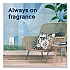 Plugin Scented Oil, Clean Linen, 0.67 oz, 2 Warmers and 6 Refills/Pack (319963)