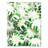 Candy Assortments, Spearmint Candy, 1 lb Bag (00655)