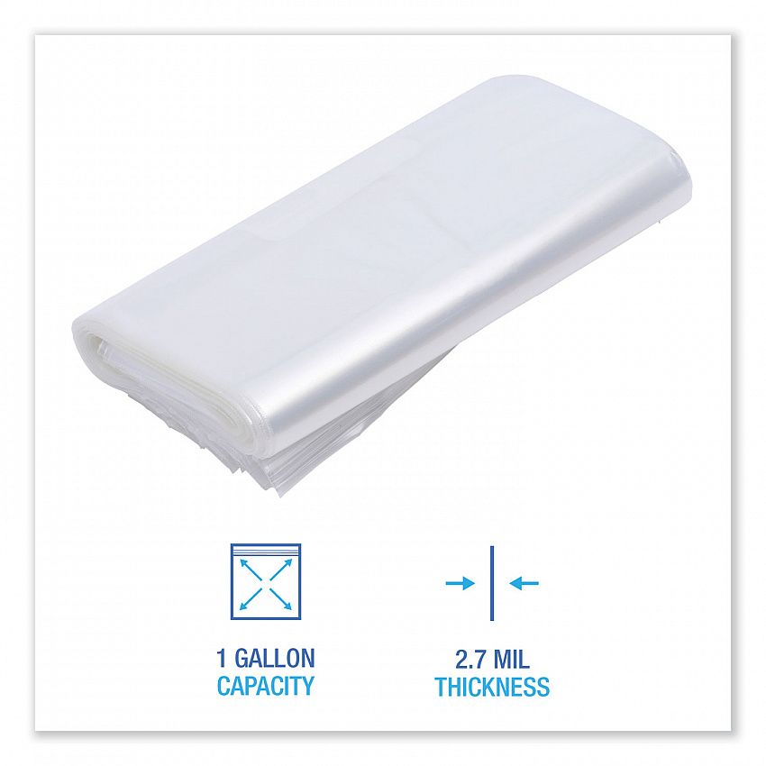 Reclosable Freezer Storage Bags, 1 gal, 10.5" x 11", Clear, 250/Box (1GALFZRBAG)