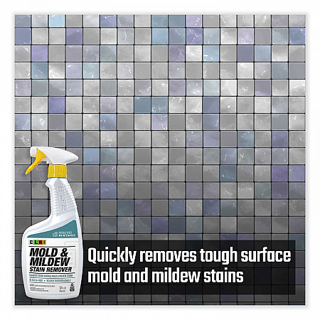 Mold and Mildew Stain Remover, 32 oz Spray Bottle, 6/Carton (MMSR32PRO)
