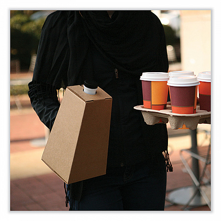 On-the-Go Carafe, 96 oz, Plain, 16/Carton (0193)