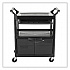 Utility Cart with Locking Doors, Plastic, 3 Shelves, 200 lb Capacity, 33.63