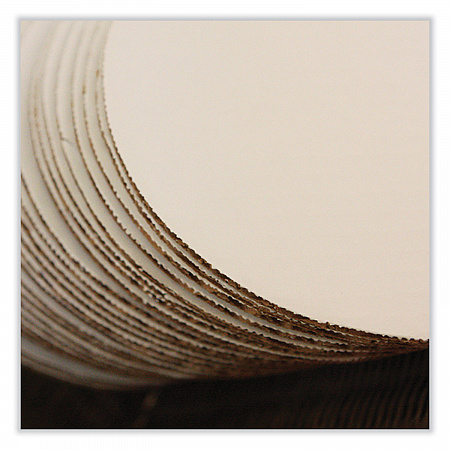 Bright White Cake Circles, 6