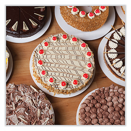 Bright White Cake Circles, 7