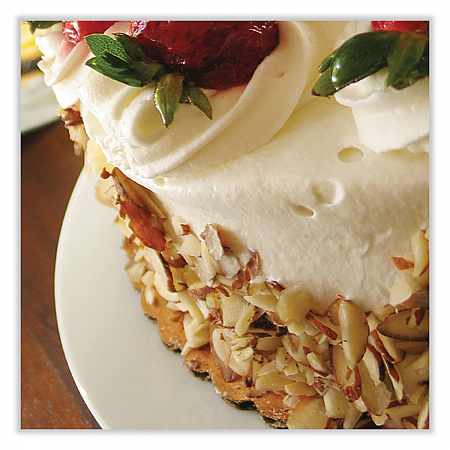 Bright White Cake Circles, 9