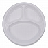 Hi-Impact Plastic Dinnerware, 3-Compartment Plate, 10