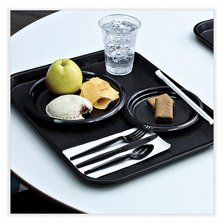 Hi-Impact Plastic Dinnerware, Plate, 9